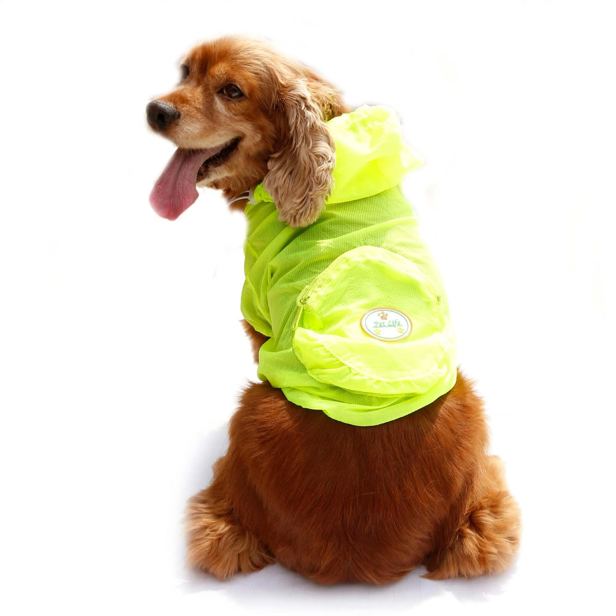 Adjustable waterproof dog raincoat backpack Explorer
