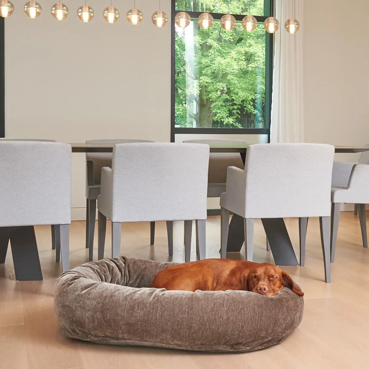 Bark Microvelvet Donut Dog Bed