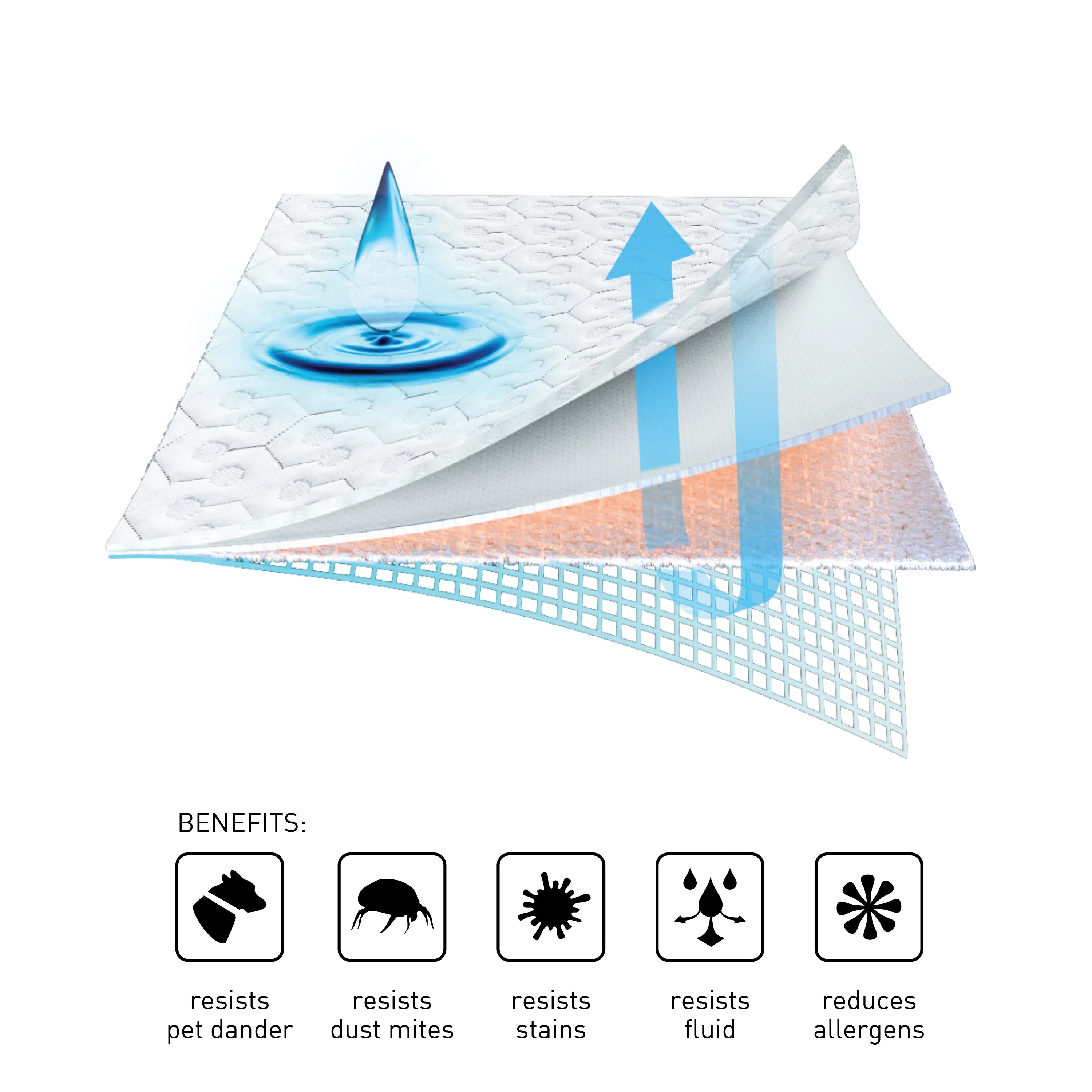 BEDGEAR Dri-Tec Queen Mattress Protector