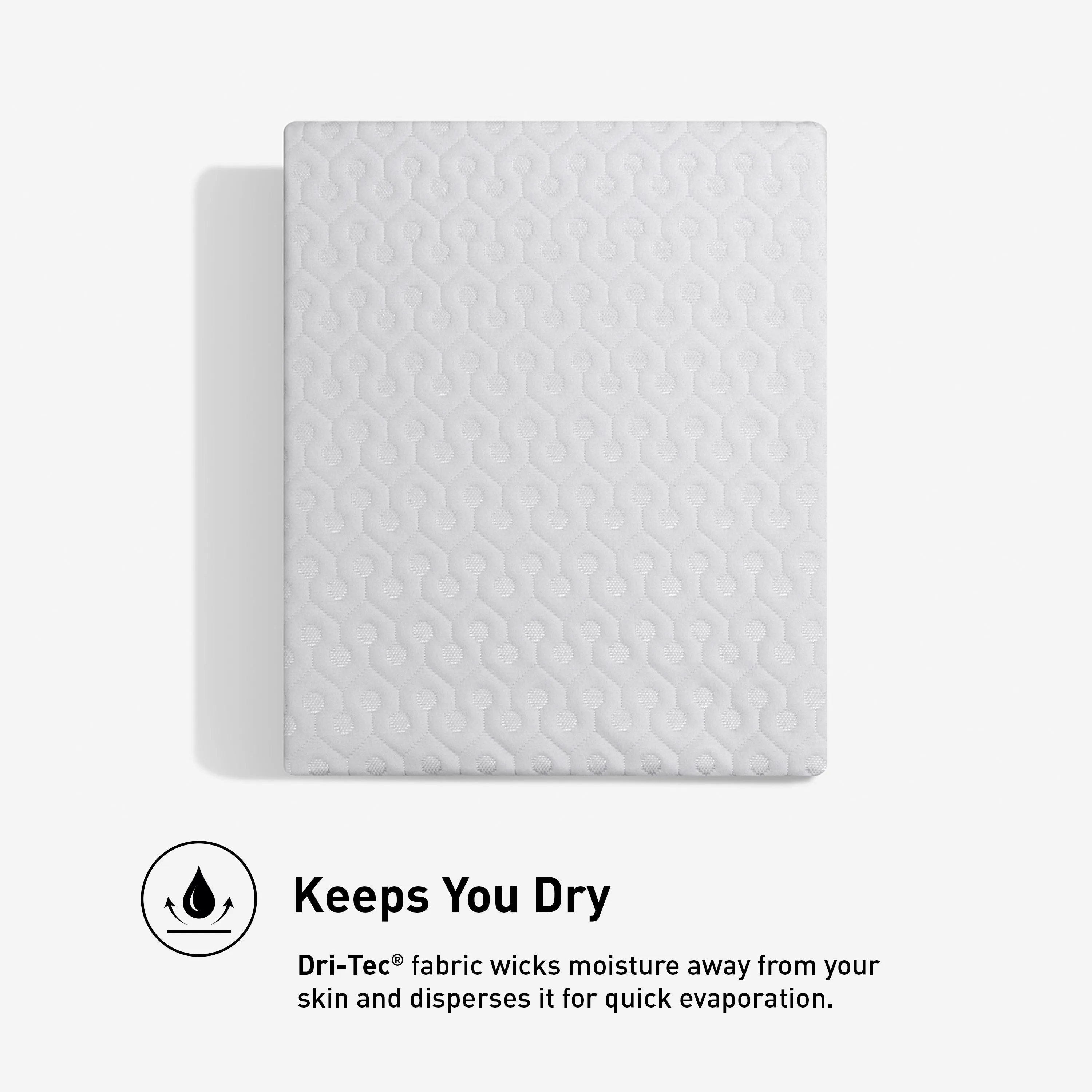 BEDGEAR Dri-Tec Queen Mattress Protector