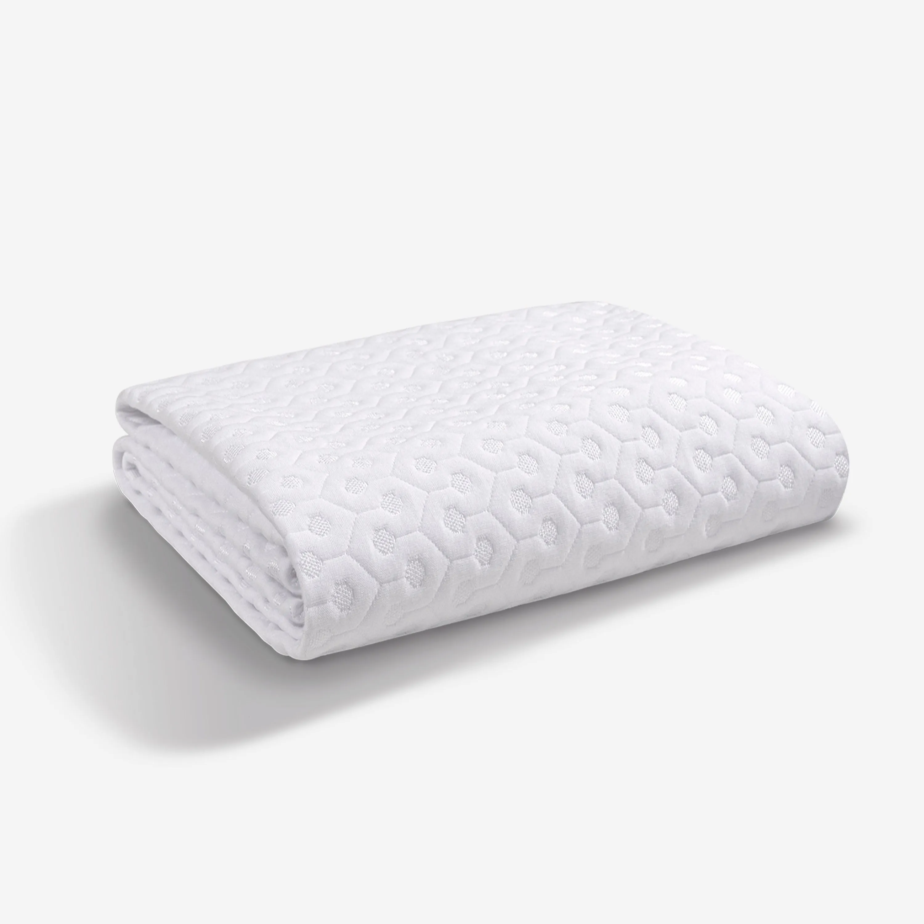 BEDGEAR Dri-Tec Queen Mattress Protector