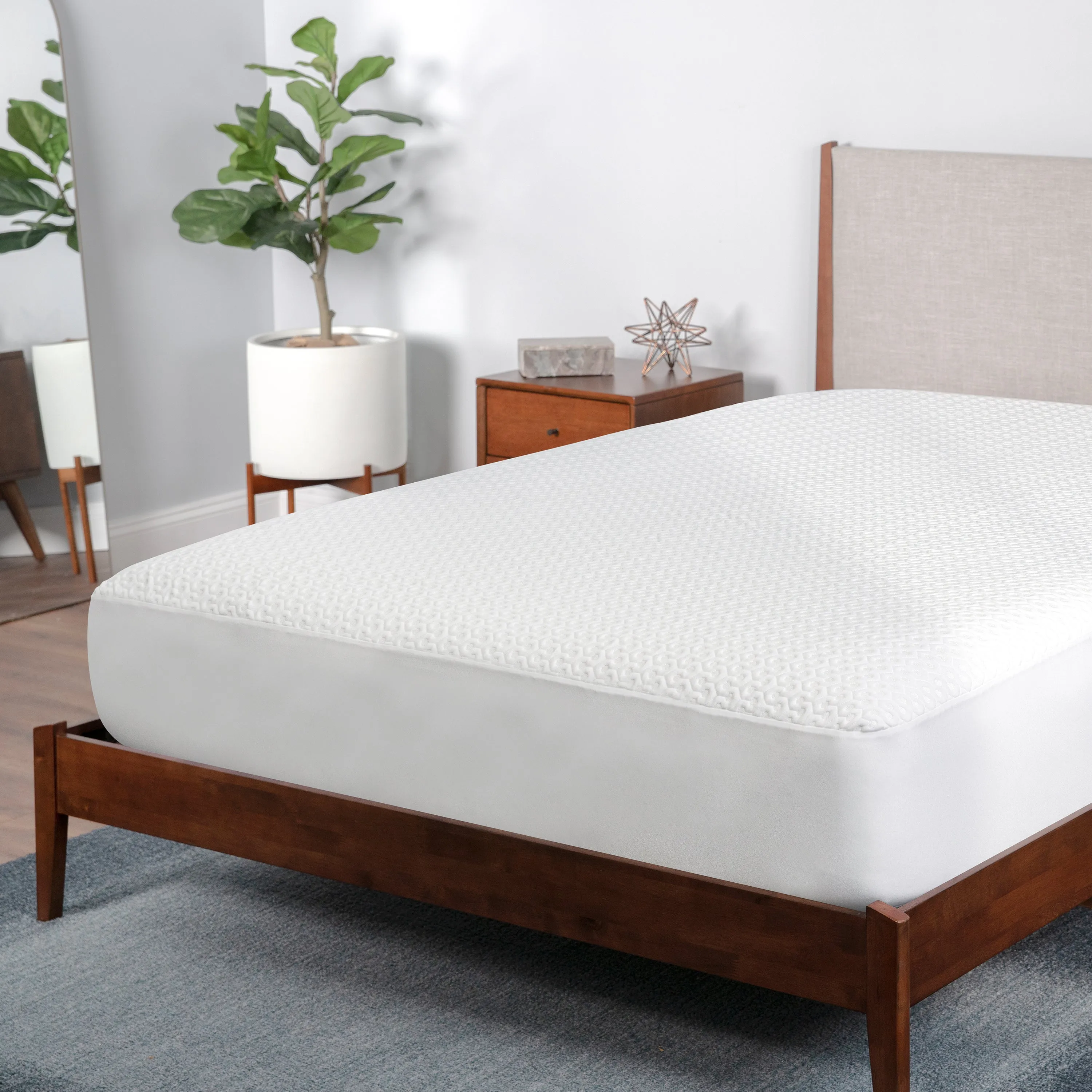 BEDGEAR Dri-Tec Queen Mattress Protector