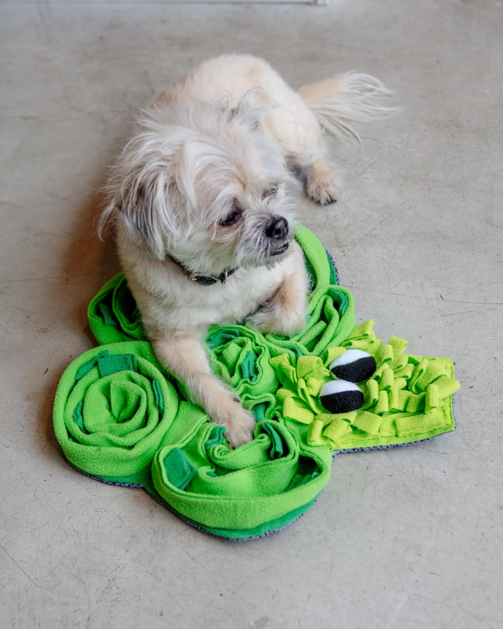 Broccoli Veggie Snuffle Mat Dog Toy (FINAL SALE)