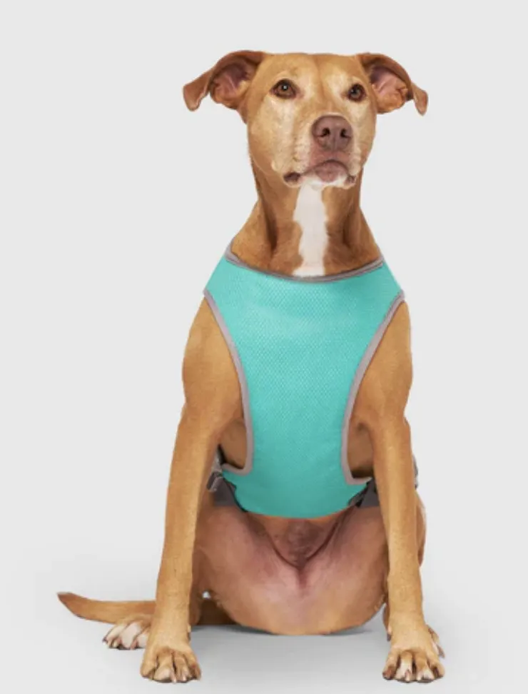 Canada Pooch Chill Seeker Cooling Vest Wet Reveal Green Smiley