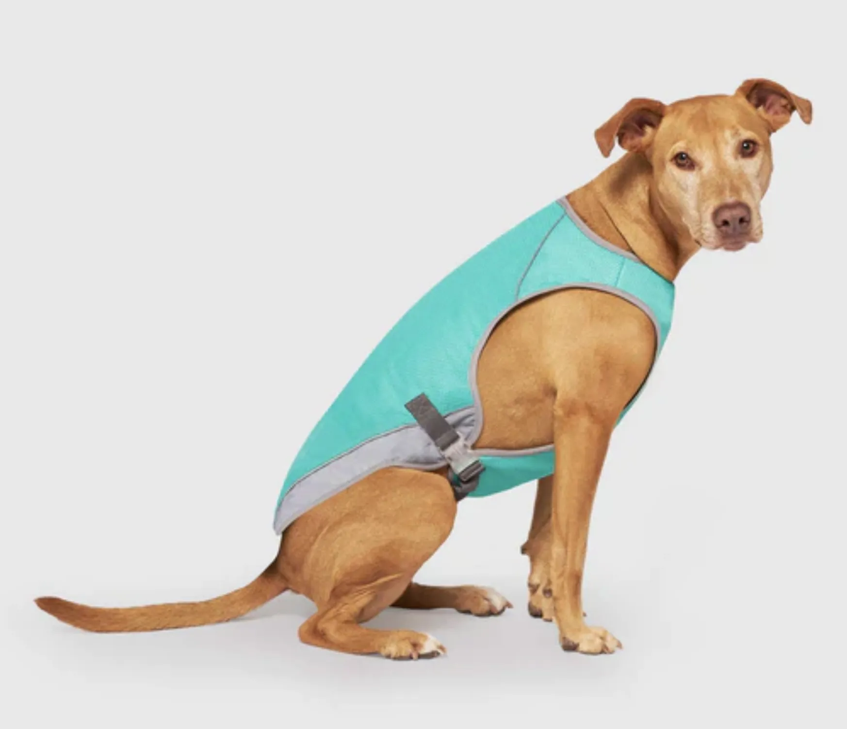 Canada Pooch Chill Seeker Cooling Vest Wet Reveal Green Smiley