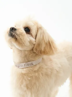 CAT&DOG Strawberry & Ice cream Motif Pet Safe Collar