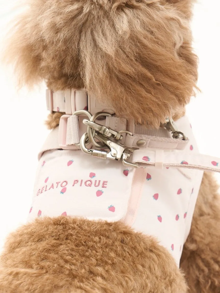 CAT&DOG Strawberry & Ice cream Motif Pet Safe Collar
