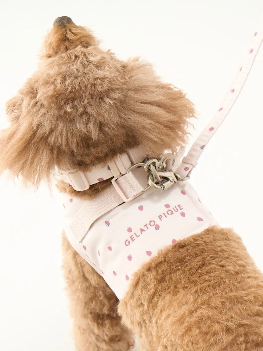 CAT&DOG Strawberry & Ice cream Motif Pet Safe Collar