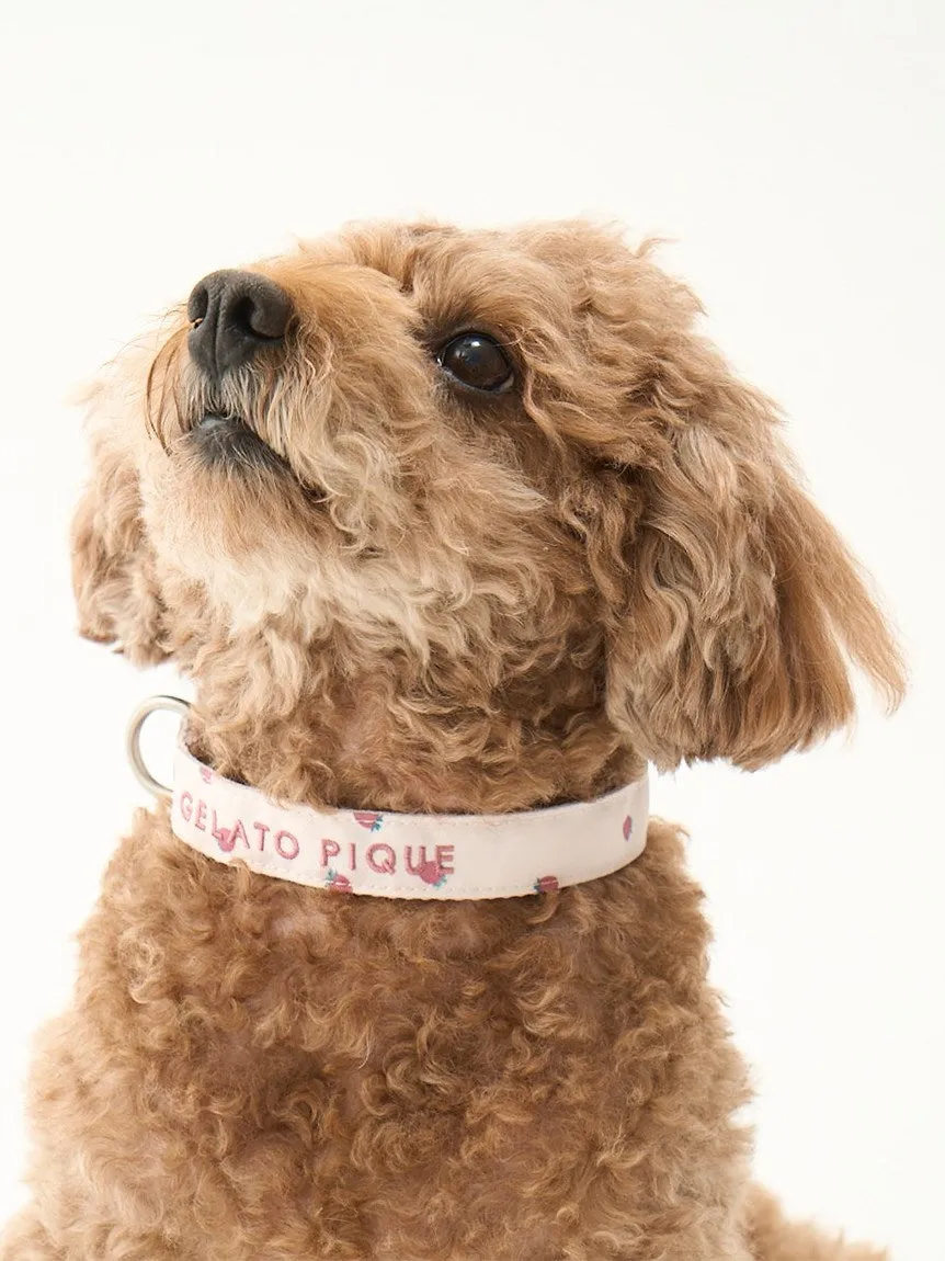 CAT&DOG Strawberry & Ice cream Motif Pet Safe Collar