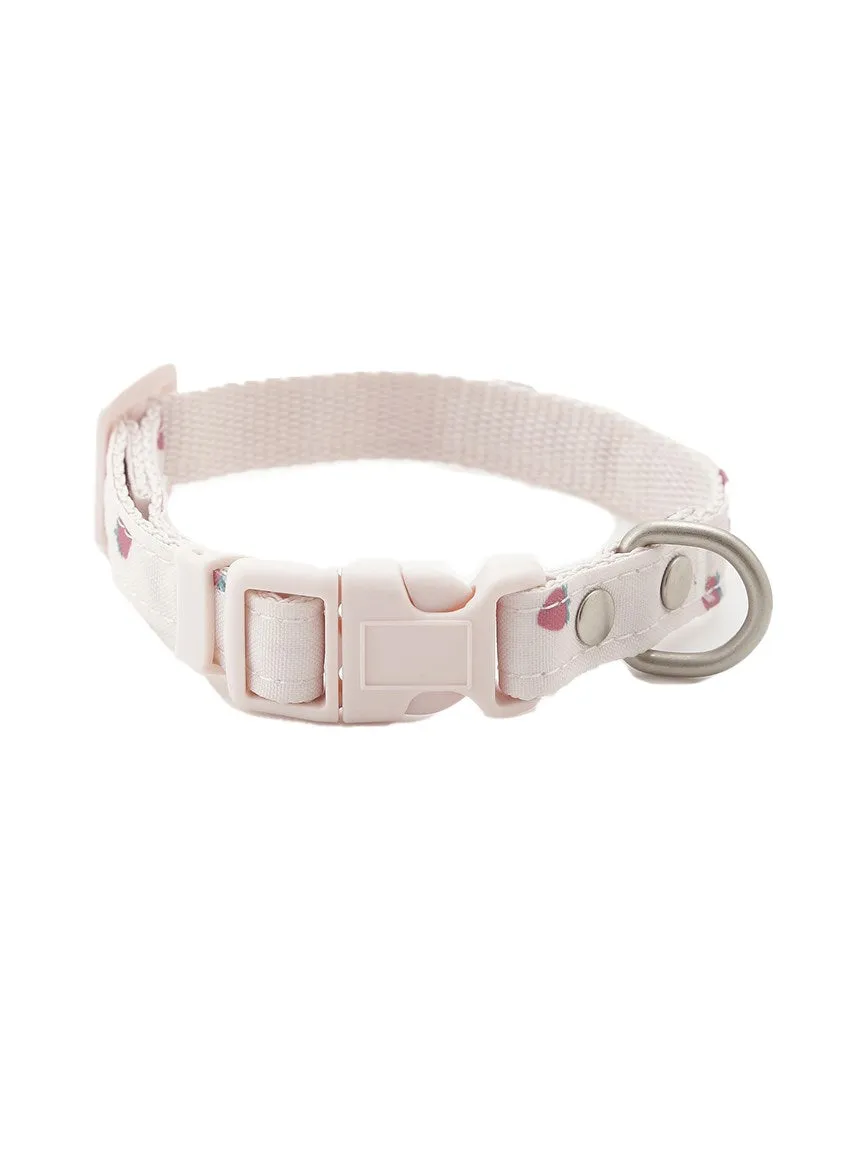 CAT&DOG Strawberry & Ice cream Motif Pet Safe Collar