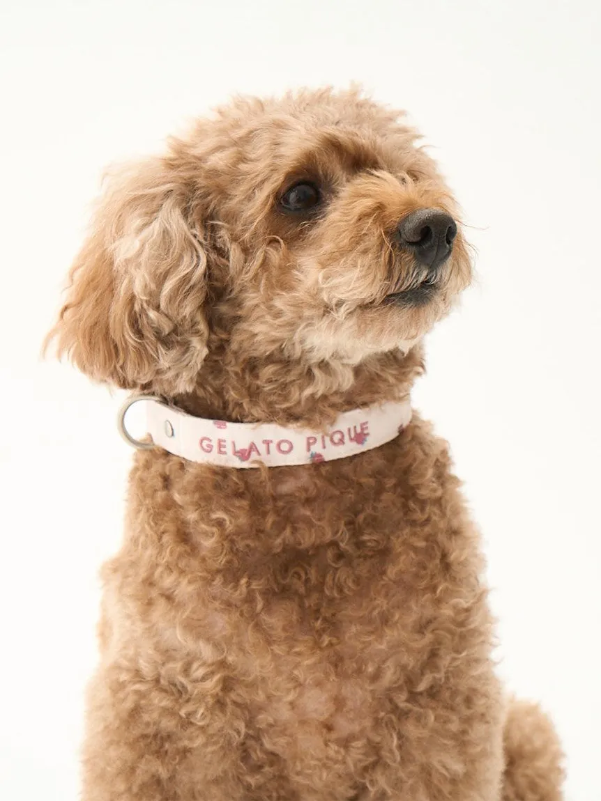 CAT&DOG Strawberry & Ice cream Motif Pet Safe Collar