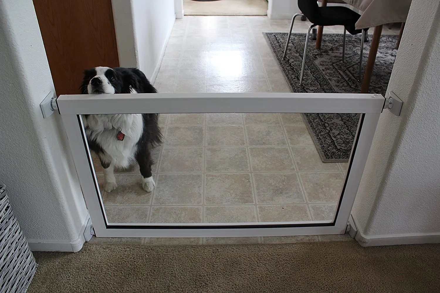 ClearVis Stepover Pet Gate