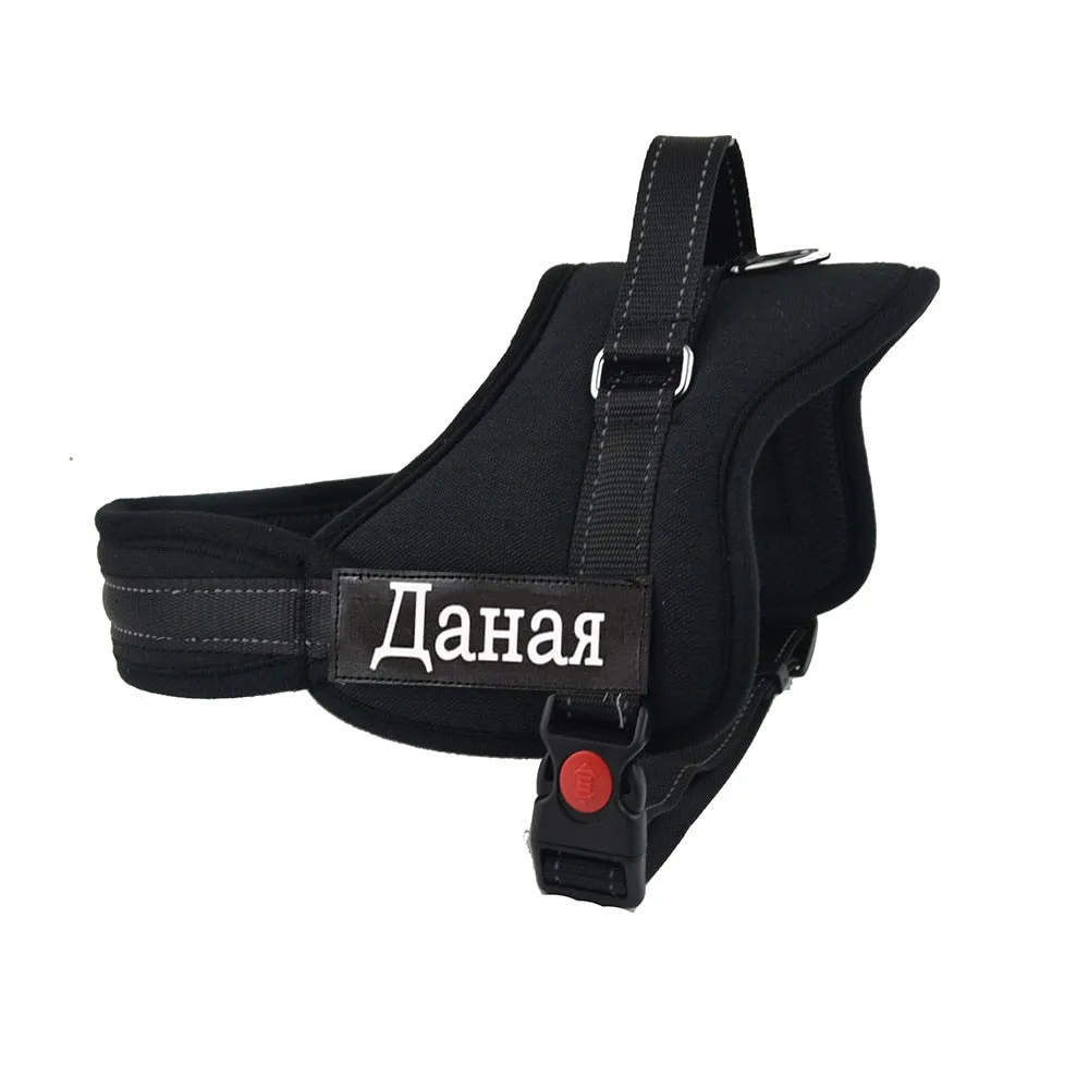Custom Harness for Dogs with Name