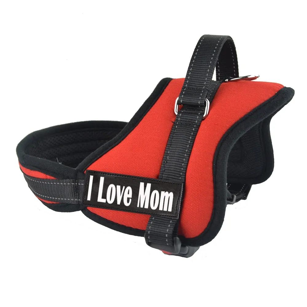 Custom Harness for Dogs with Name