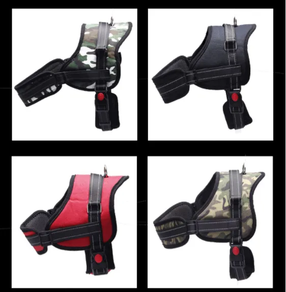 Custom Harness for Dogs with Name