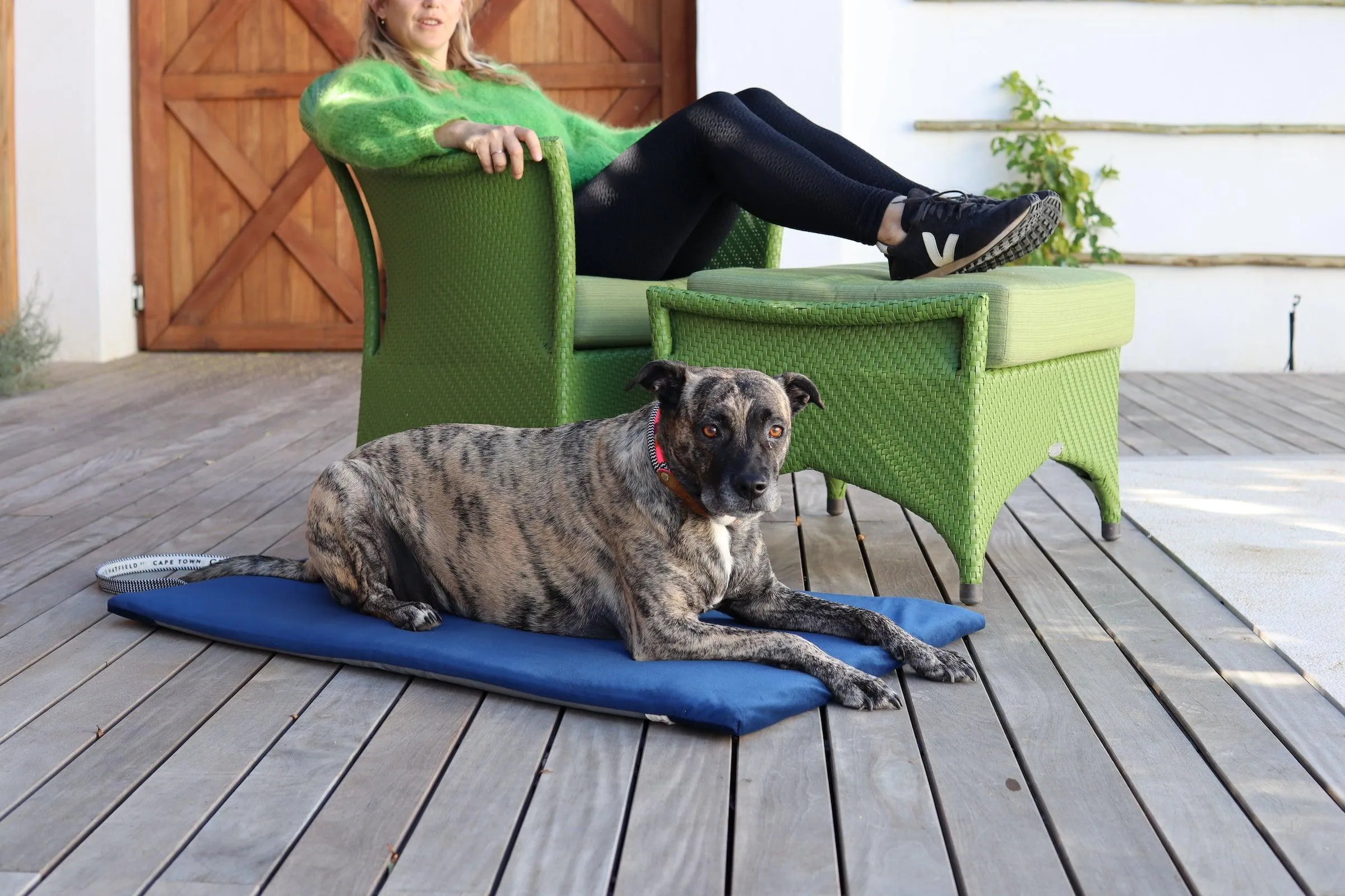 Dog Travel Mat | Galaxy Blue