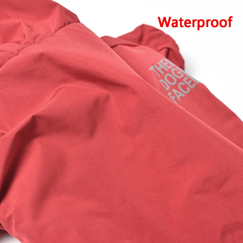 Dogface Waterproof Raincoat