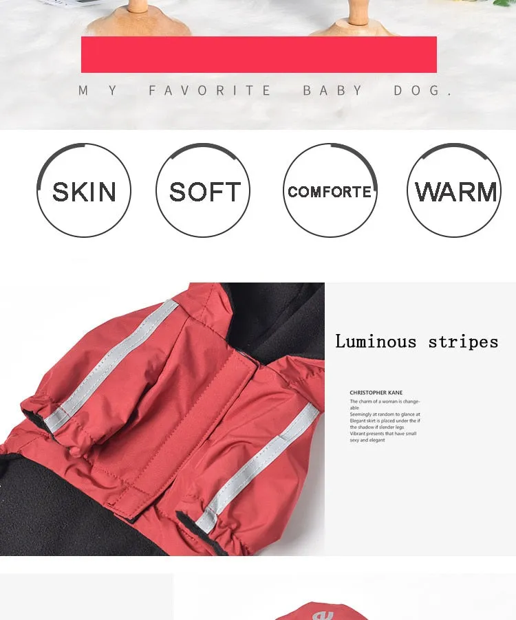 Dogface Waterproof Raincoat
