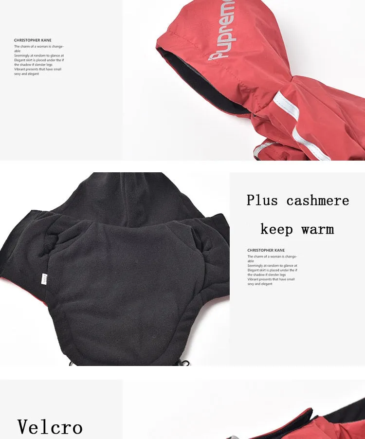 Dogface Waterproof Raincoat