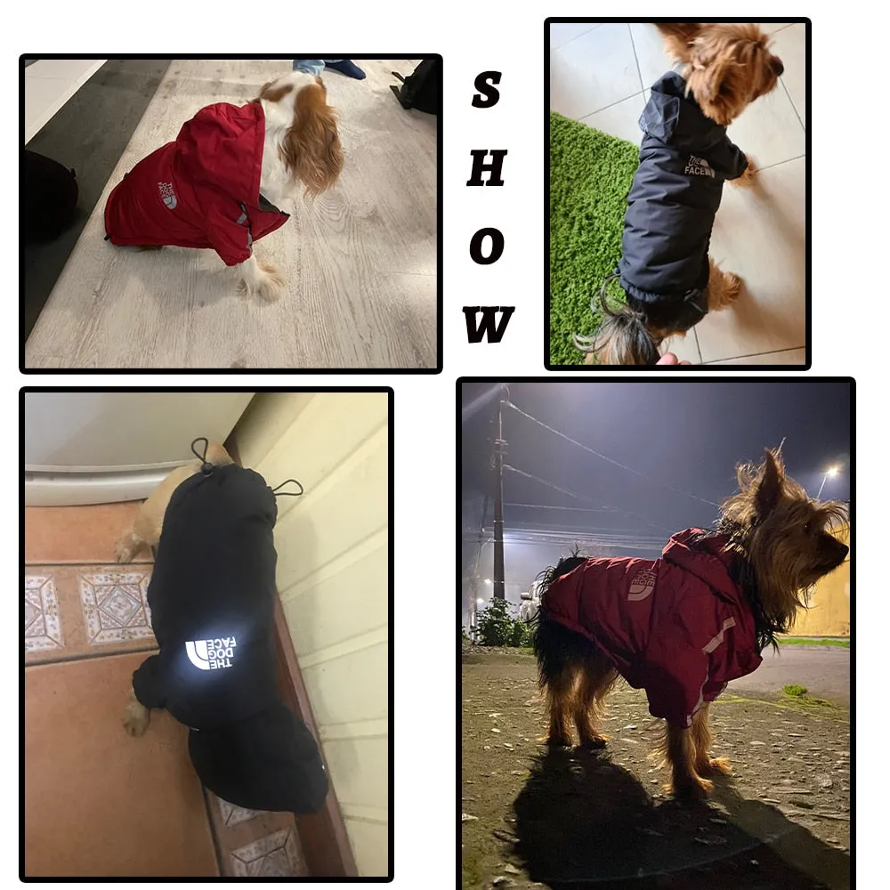 Dogface Waterproof Raincoat