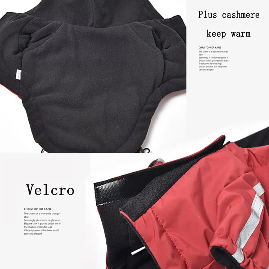 Dogface Waterproof Raincoat