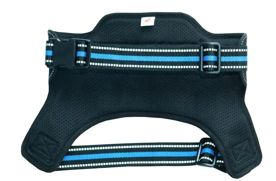 Doggy Tales Patented Hart Harness, Blue