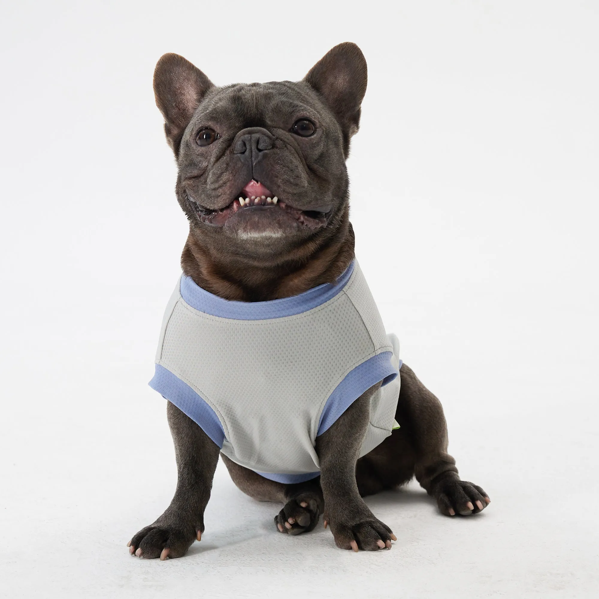 Elastic Ultrathin Dog Cooling T Shirt - Grey