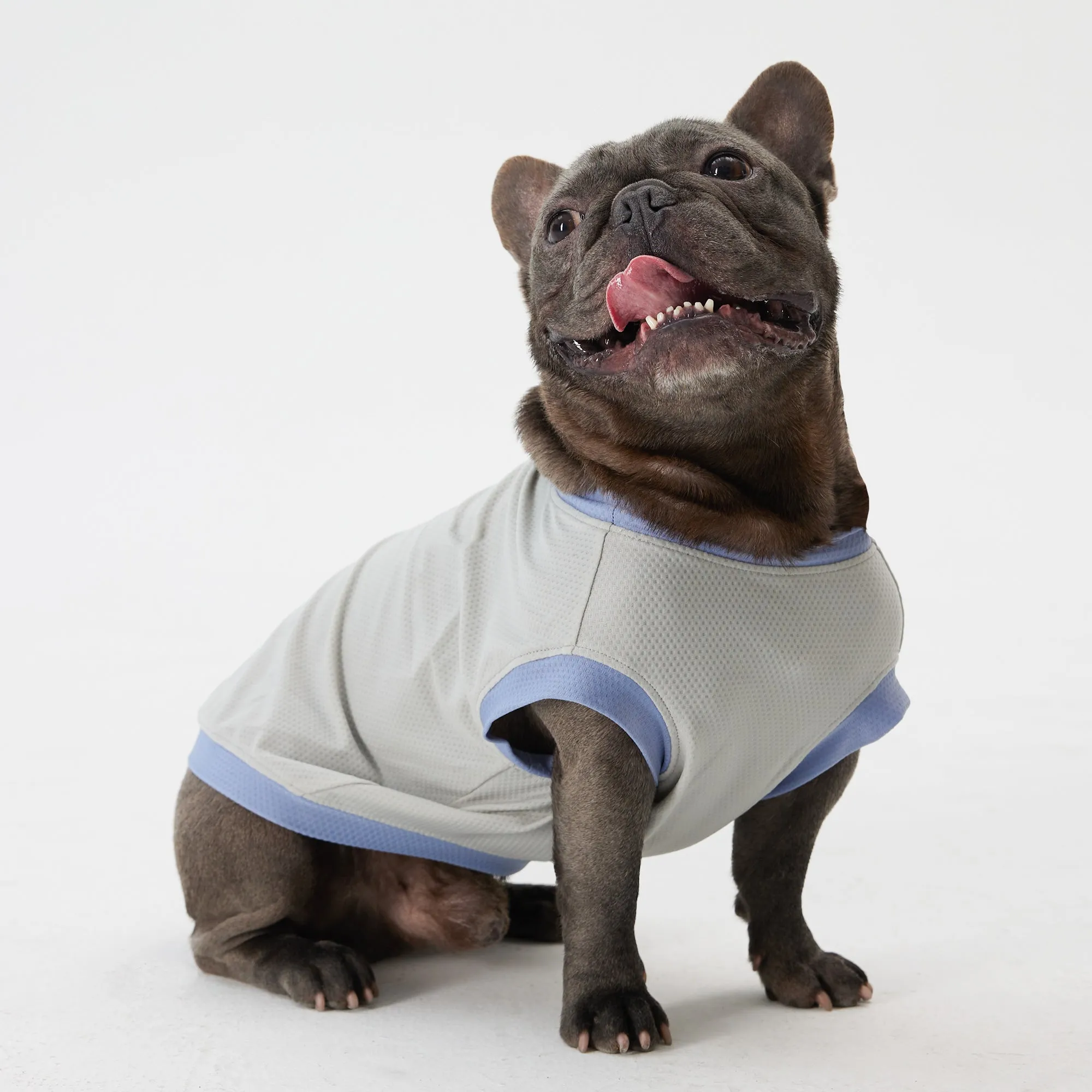 Elastic Ultrathin Dog Cooling T Shirt - Grey