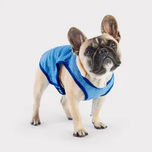 Elasto-Fit® Ice Vest® | Dog Cooling Vest | Blue