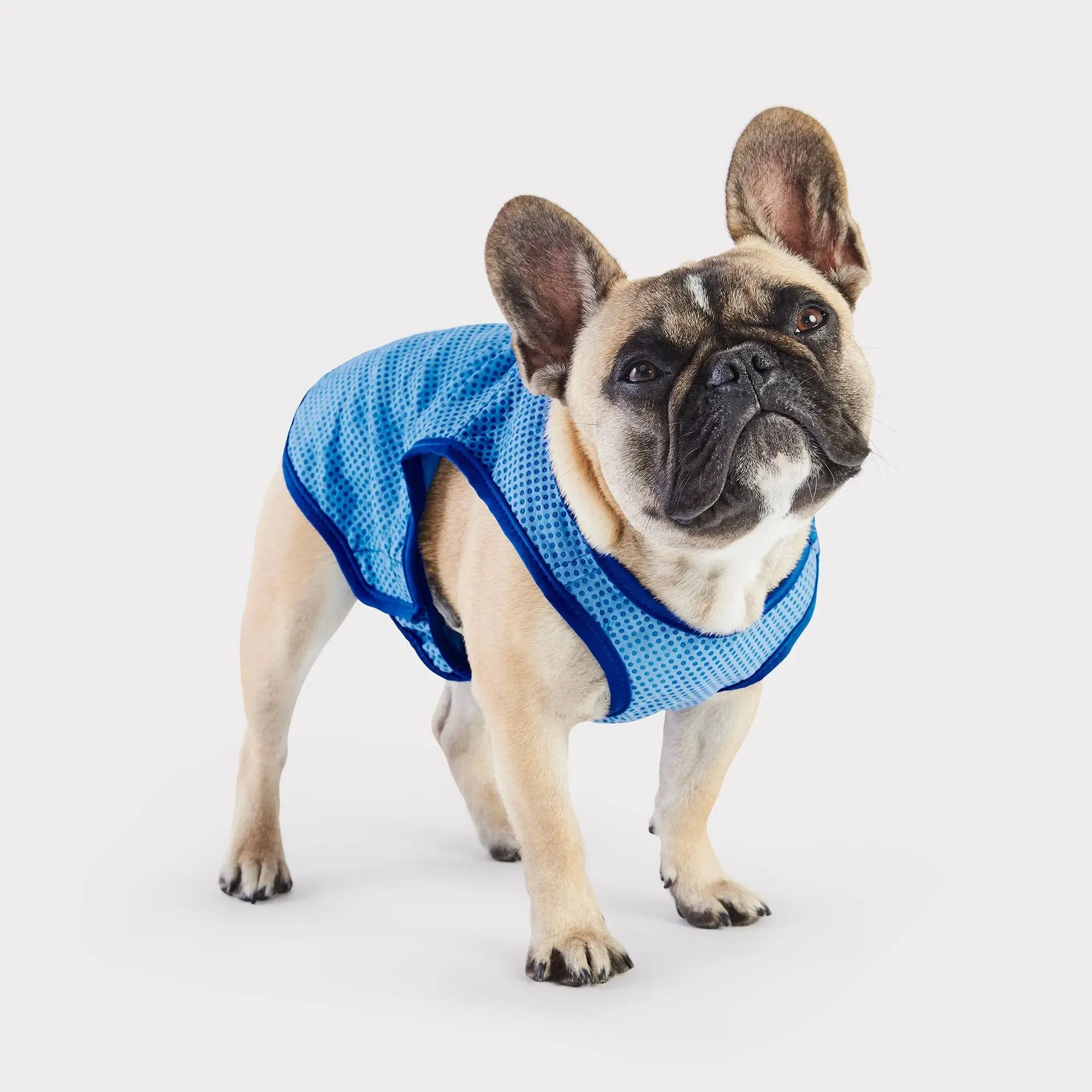 Elasto-Fit® Ice Vest® | Dog Cooling Vest | Blue