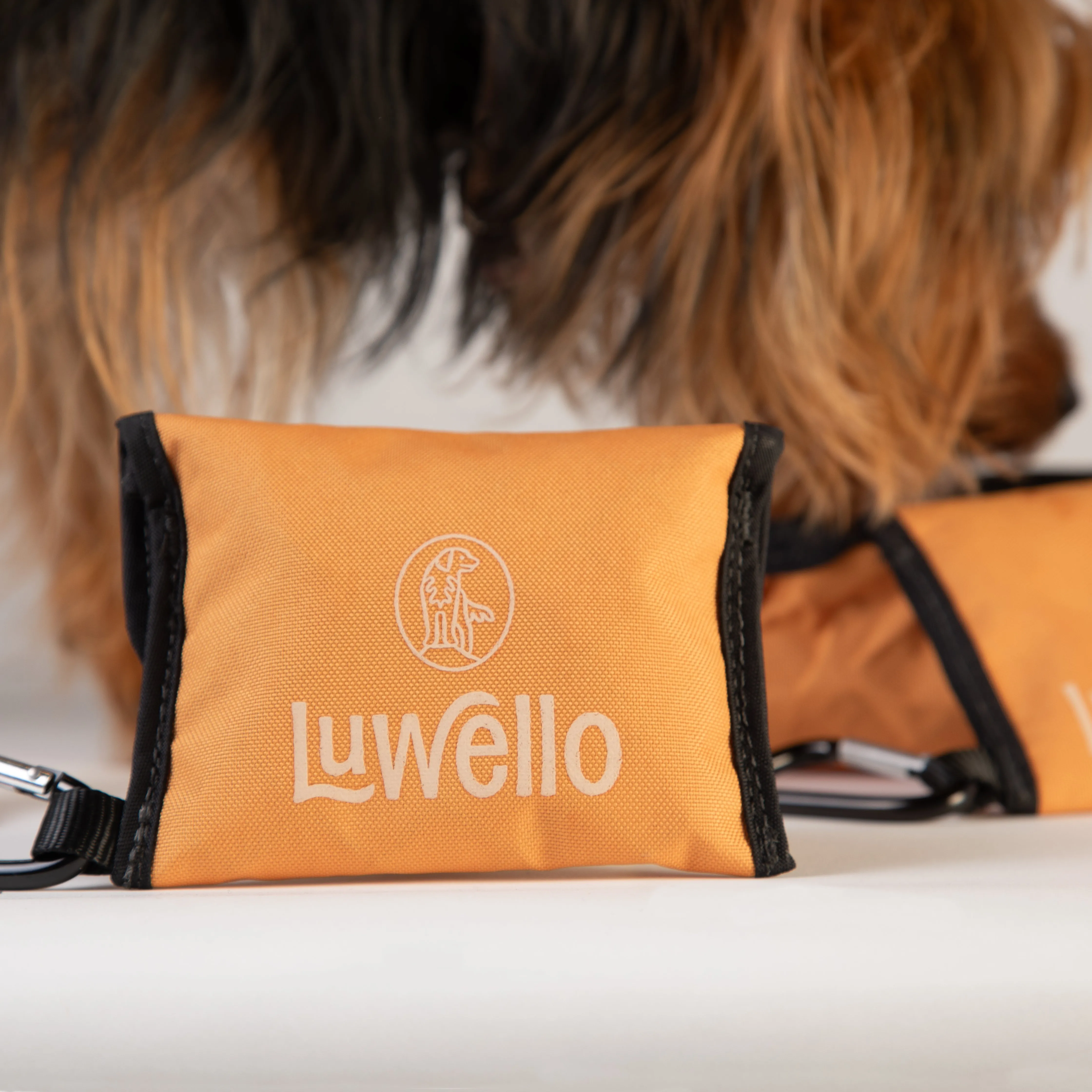 Fold-Up Travel Water Dish