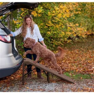 Free-standing Extra Wide Carpeted Pet Ramp in Chocolate