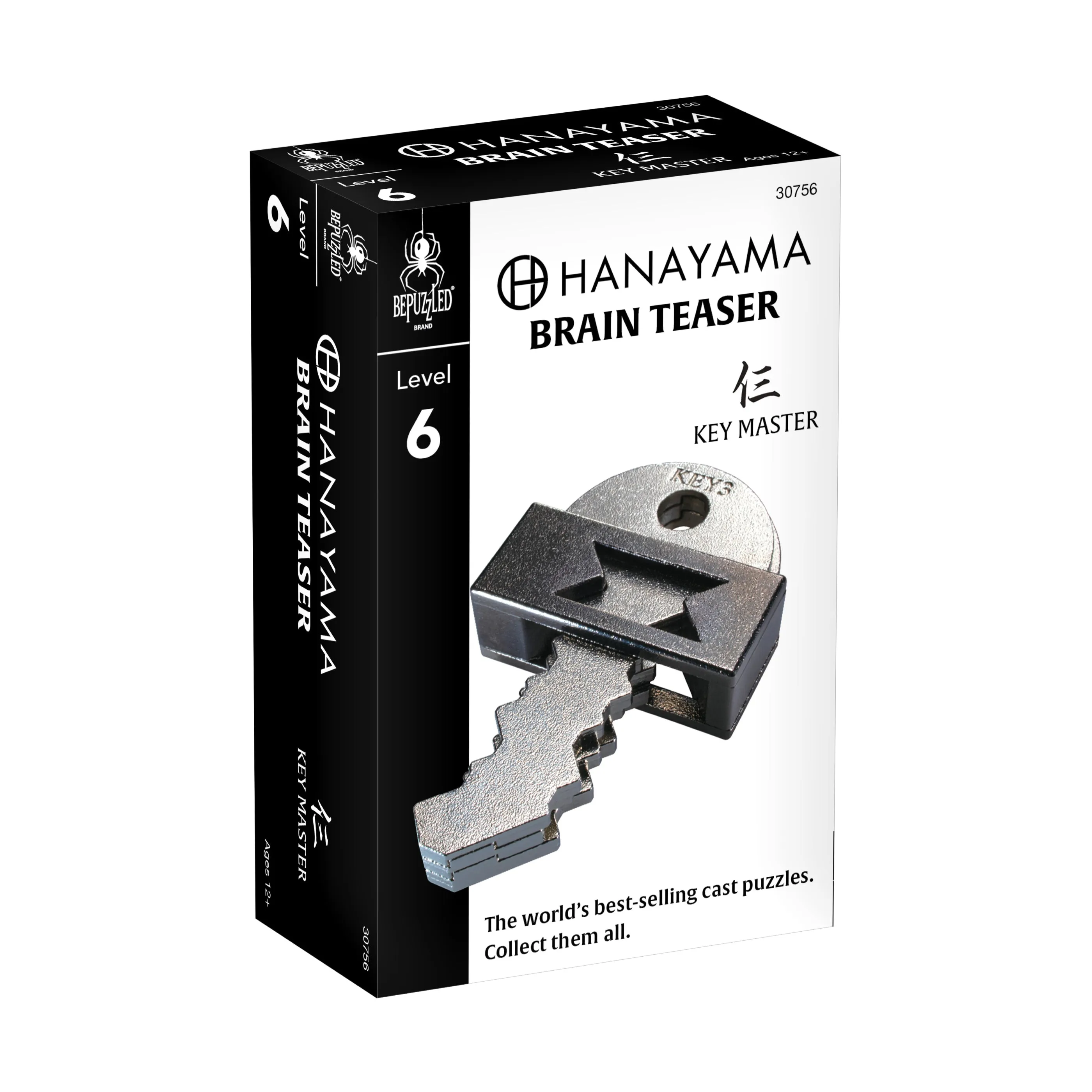 Hanayama Level 6 Cast Puzzle - Key Master