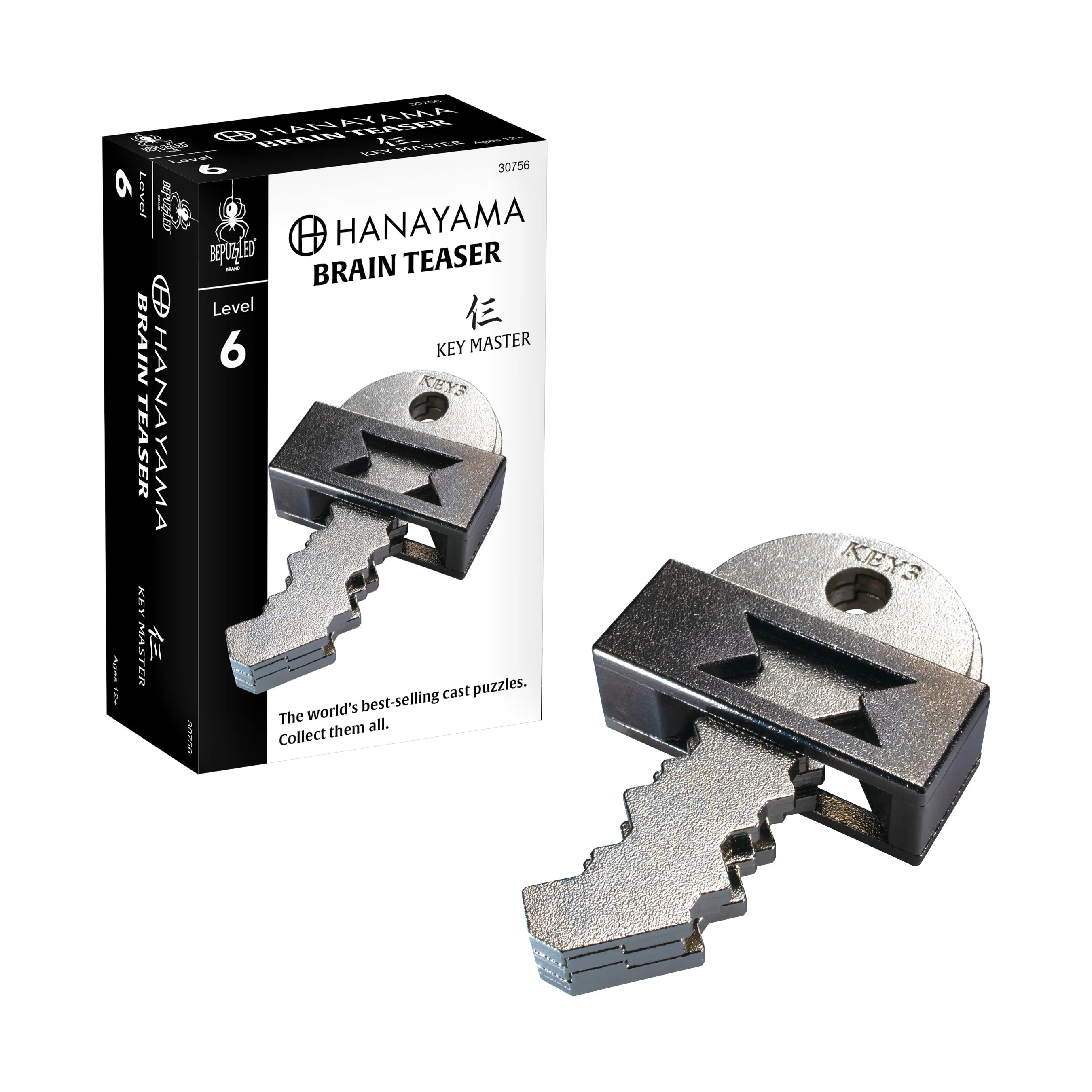 Hanayama Level 6 Cast Puzzle - Key Master