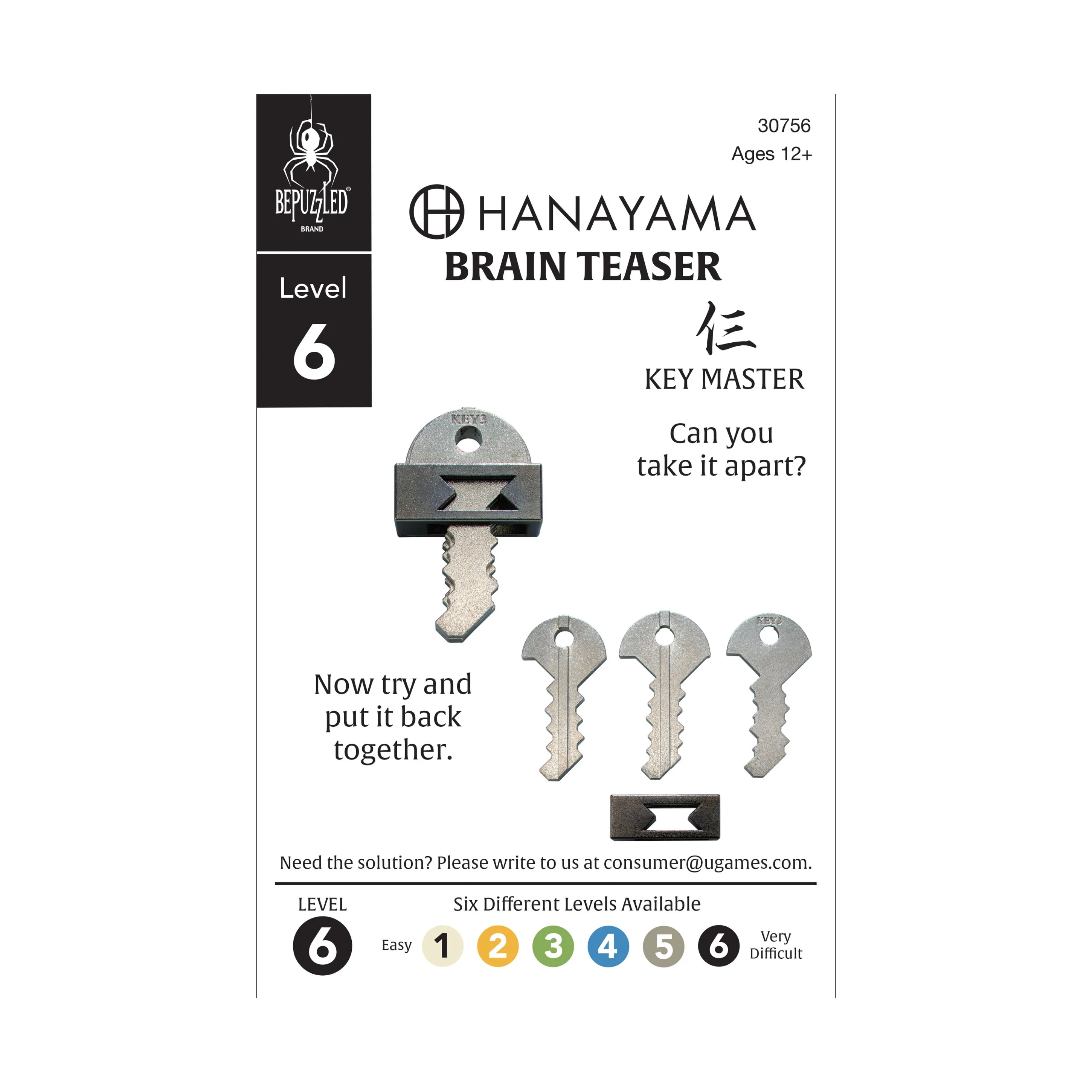 Hanayama Level 6 Cast Puzzle - Key Master