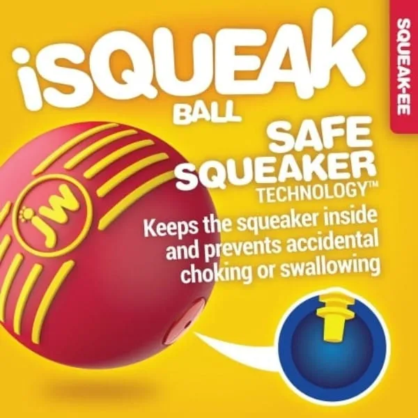 JW Pet iSqueak Rubber Ball for Dogs