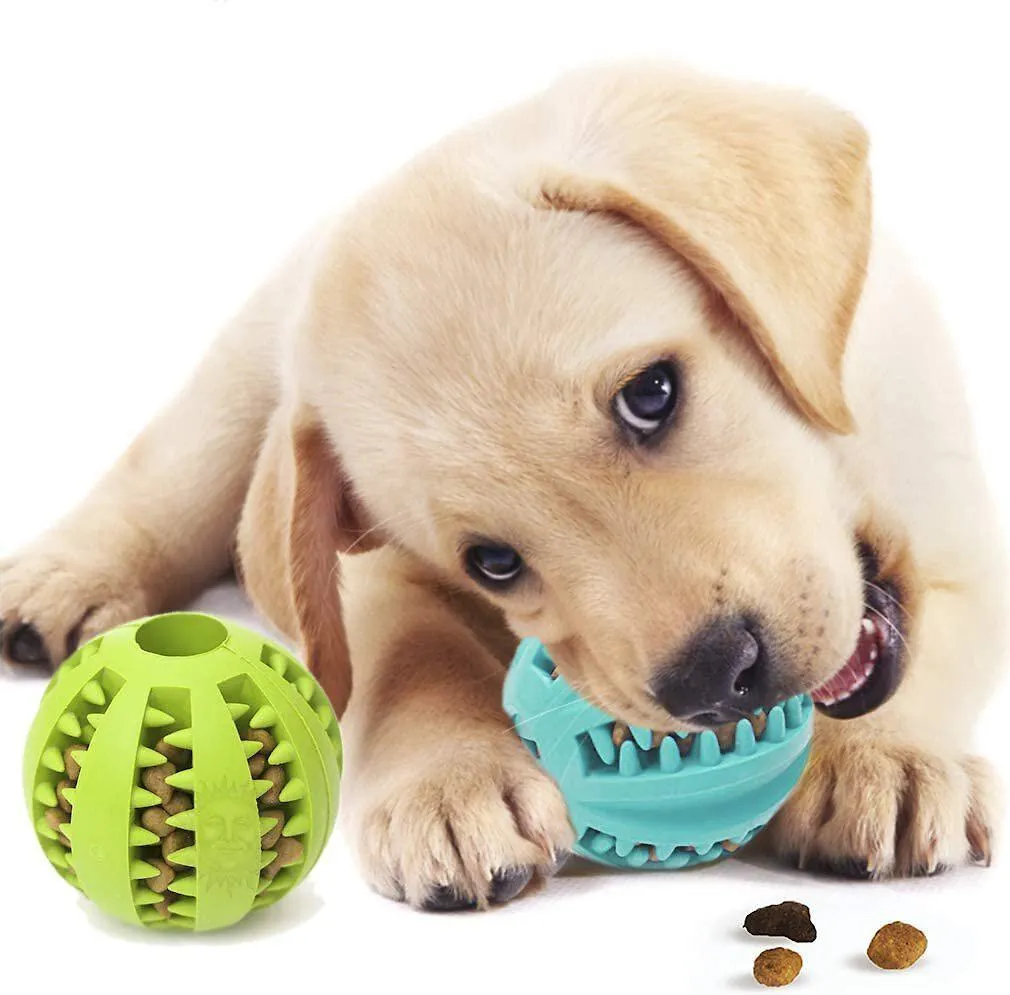 Kanu Pet Toothbrush Holder Puppy Treat Dispenser & Toy