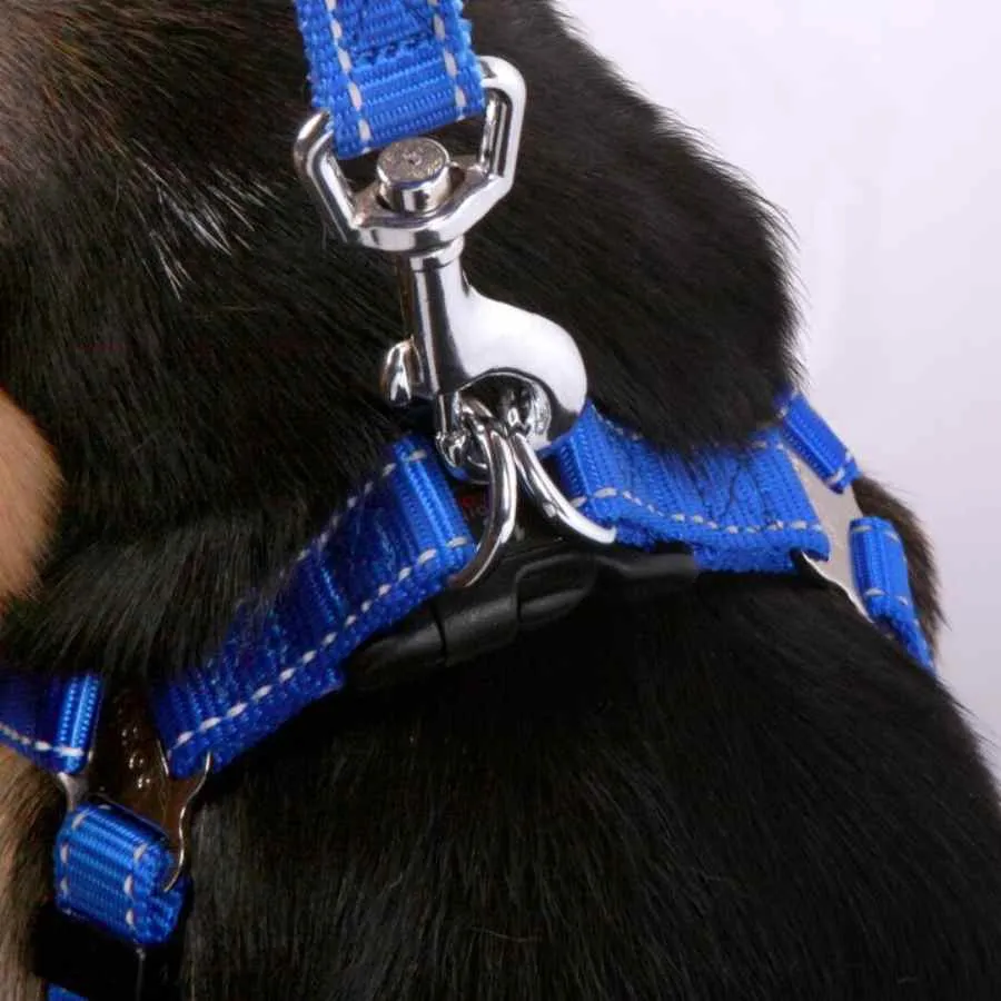 Kazoo Classic DD Nylon Walking Harness Blue