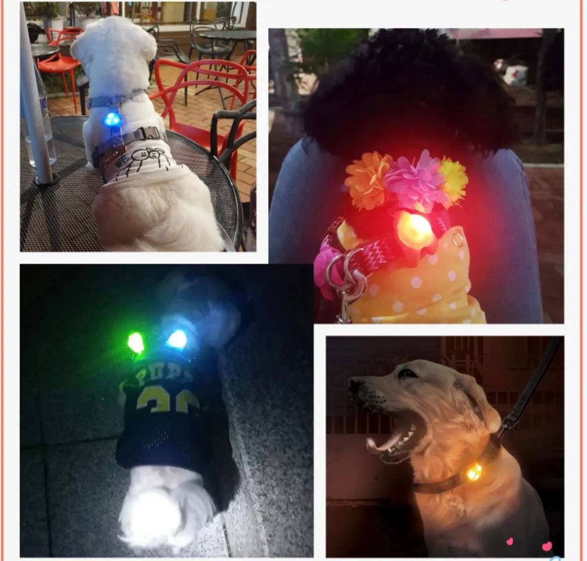 LaRoo Safety Blinker for Pets - Pink