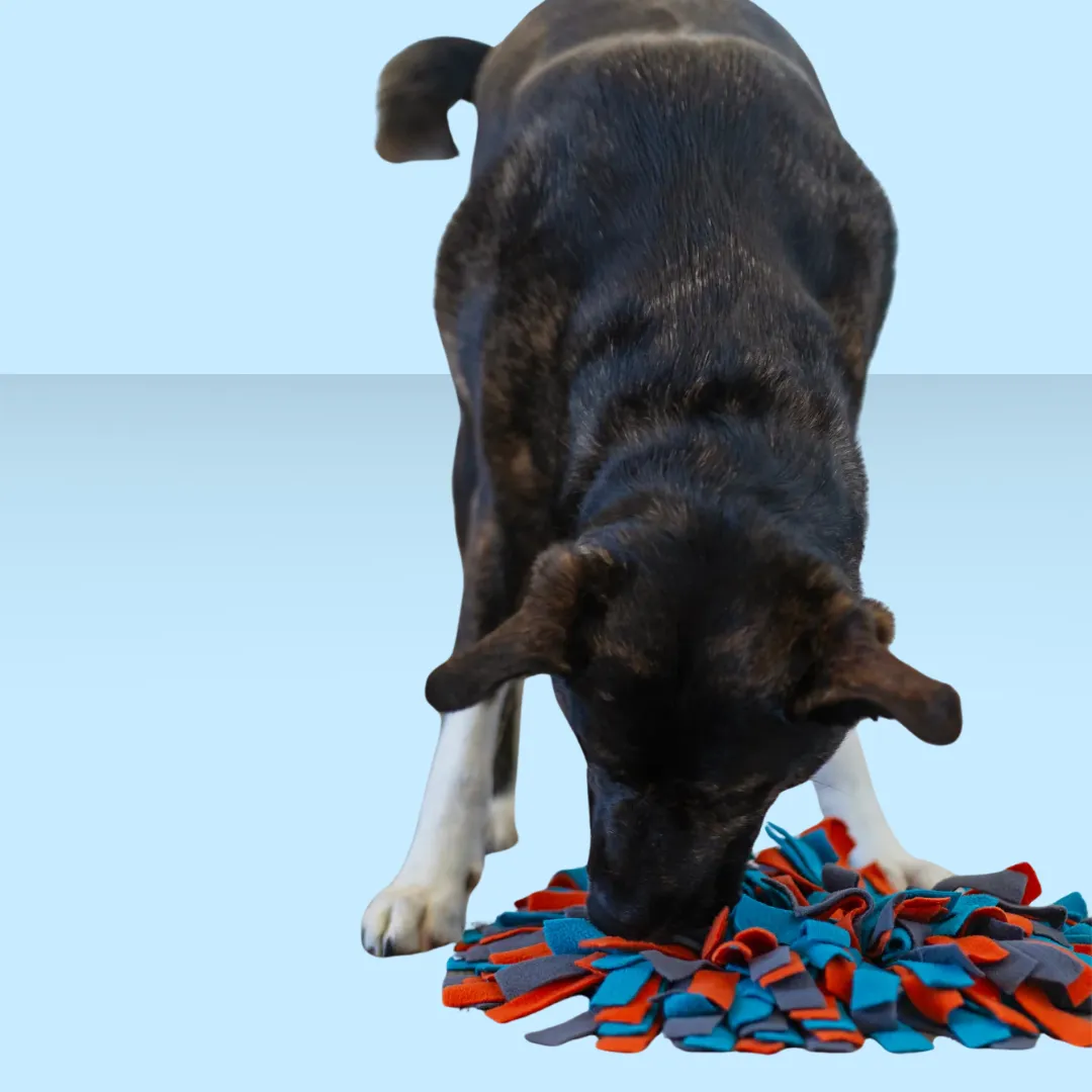 Messy Mutt Forage Mat Round 15"