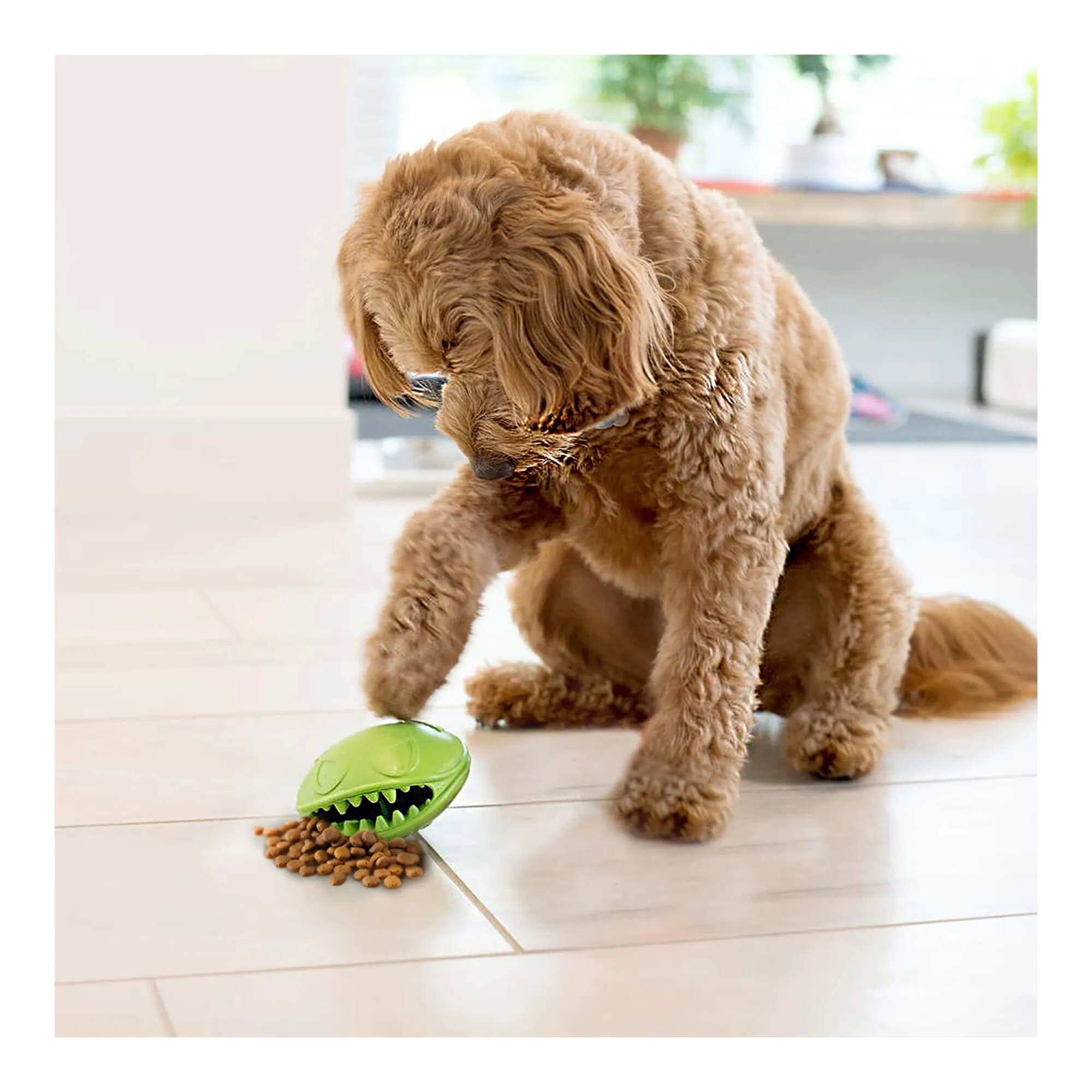 Monster Mouth Treat Dispenser