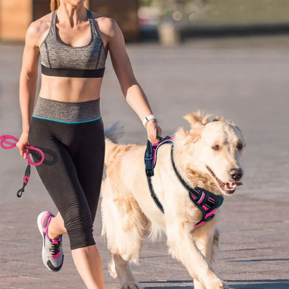 PAWS ASIA Wholesale Luxury Reflective Dog Leash Vest Harness Set With Easy Control Handle
