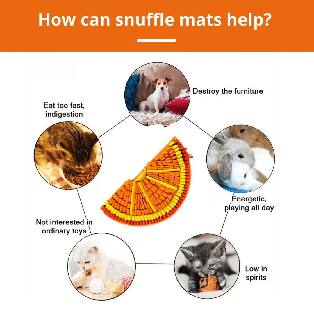 Pawz N Dogz Snuffle Mat - Tangy Orange - Level 2