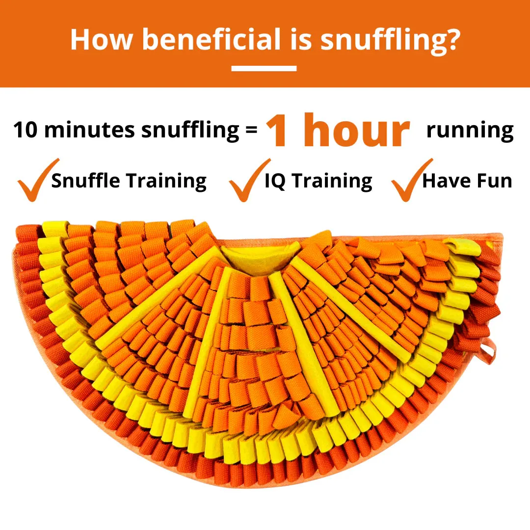 Pawz N Dogz Snuffle Mat - Tangy Orange - Level 2