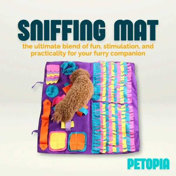 Pet Dog Sniffing Mat