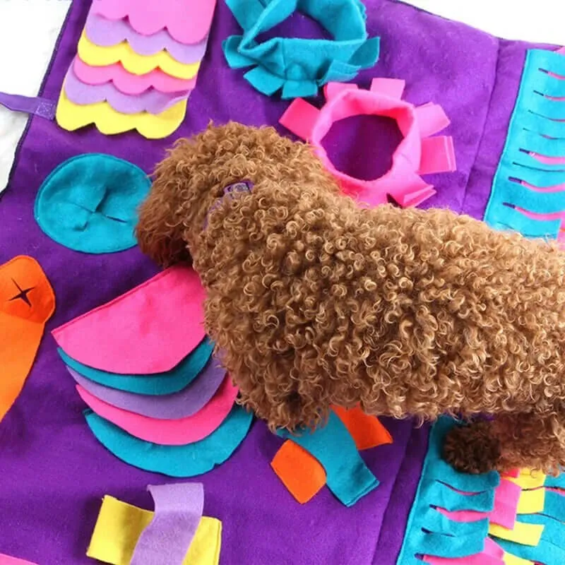 Pet Dog Sniffing Mat