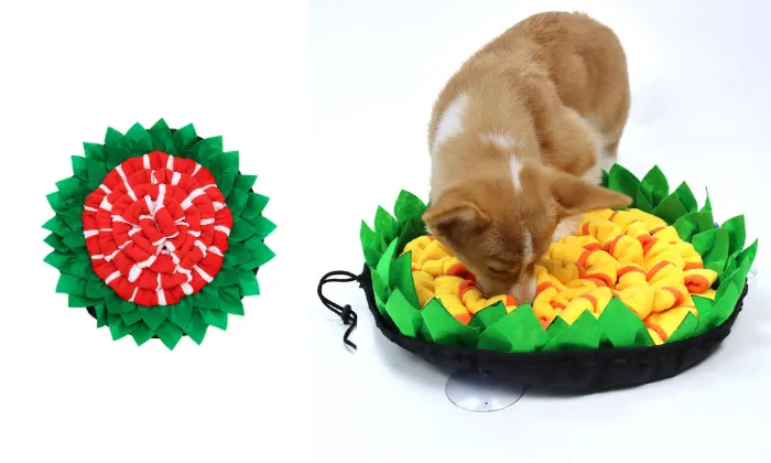 Pet Foraging Sniffing Mat