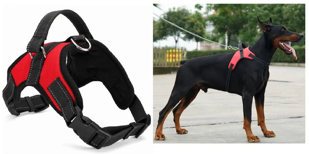 PETLAVISH™ No-Pull Dog Harness: Adjustable, Soft, Breathable Safe Control Vest S-XXL