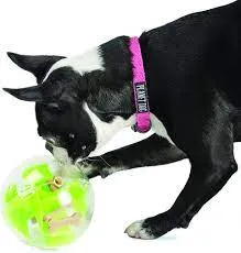 Planet Dog - Mazee