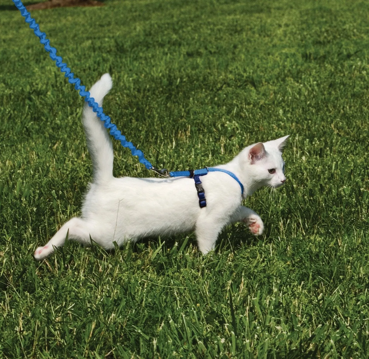 Premier Come With Me Cat Harness with Leash SALE